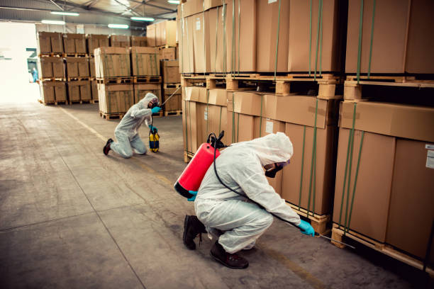 Best Commercial Pest Control Services  in North Haverhill, NH