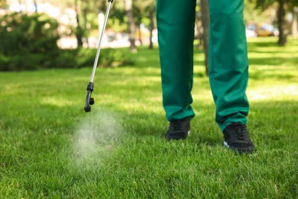 Best Rat Extermination Near Me  in North Haverhill, NH